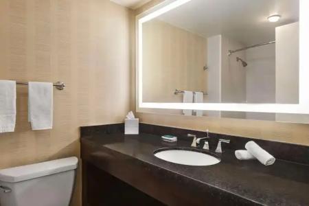 Home2 Suites by Hilton Tampa Downtown Channel District - 7