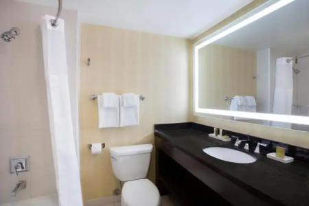 Home2 Suites by Hilton Tampa Downtown Channel District - 40