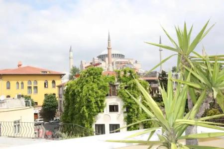 Istanbul Hanedan - 16