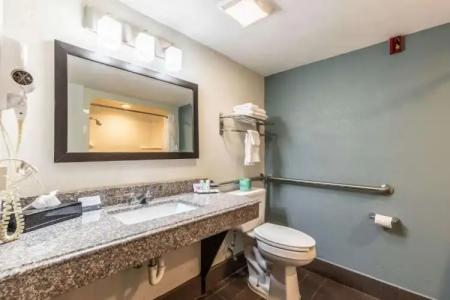 Quality Inn Memphis - 62