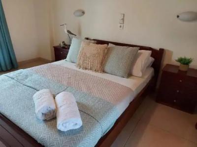 Antonio Studios - 23