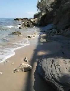 Clear Horizon Apartments - 16