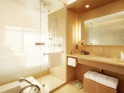 Fairmont Baku - Flame Towers - 58