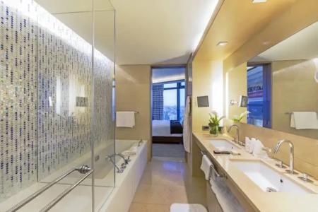 Fairmont Baku - Flame Towers - 98