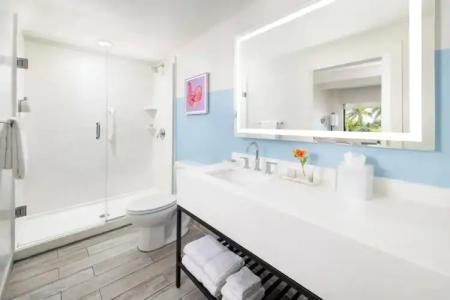 Blue Flamingo Resort Key West - 37