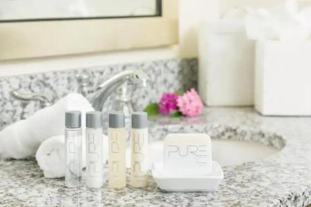 Blue Flamingo Resort Key West - 19