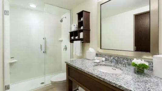 Blue Flamingo Resort Key West - 20