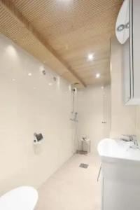 Vuokatin Aateli Studios - 102