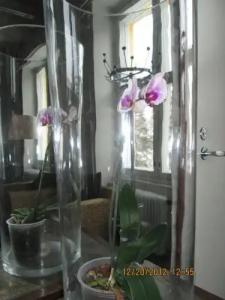 Timitra Hostel - 4