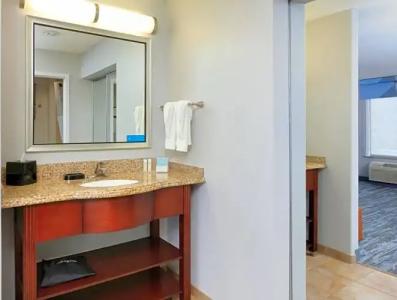 Hampton Inn & Suites Dallas-Arlington-South - 78