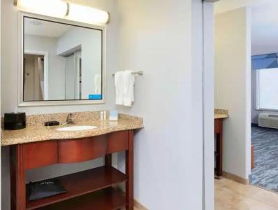 Hampton Inn & Suites Dallas-Arlington-South - 3