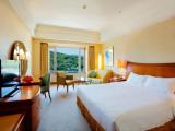 Superior Double room with mountain view