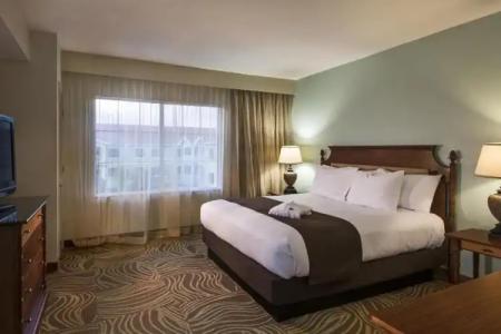 DoubleTree Suites by Hilton Naples - 146