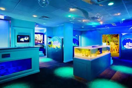 The Ritz-Carlton, Naples - 10