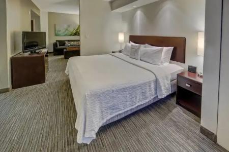 SpringHill Suites Naples - 4
