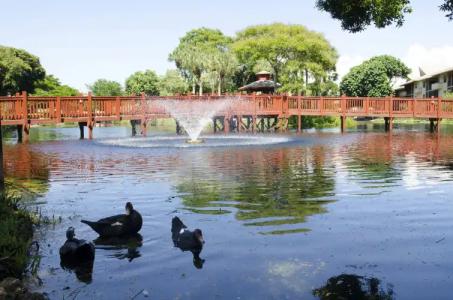 Park Shore Resort by Mike Z Rentals - 18