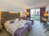 Standard Plus Double room with park side view