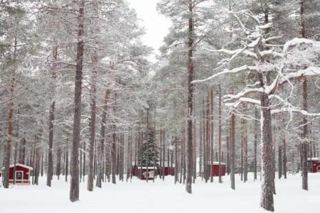 Petäjäkylä - 57