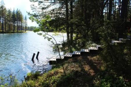 Petäjäkylä - 28