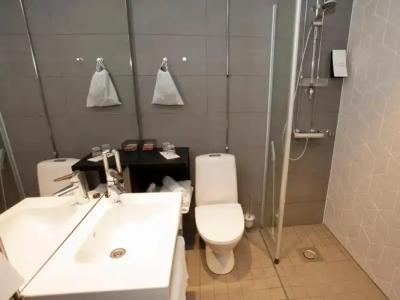 Original Sokos Puijonsarvi - 42