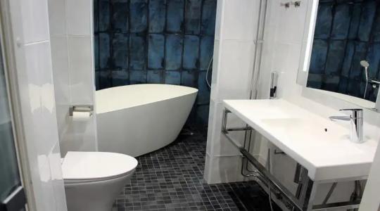 Original Sokos Puijonsarvi - 85