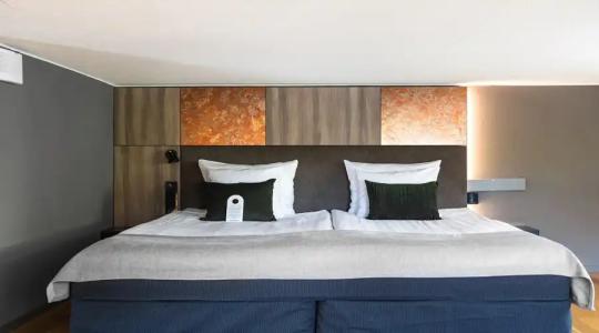 Original Sokos Puijonsarvi - 67