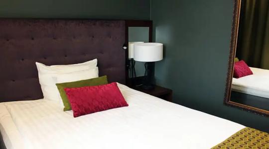 Original Sokos Puijonsarvi - 50