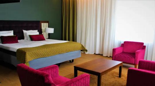 Original Sokos Puijonsarvi - 80