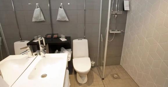 Original Sokos Puijonsarvi - 8