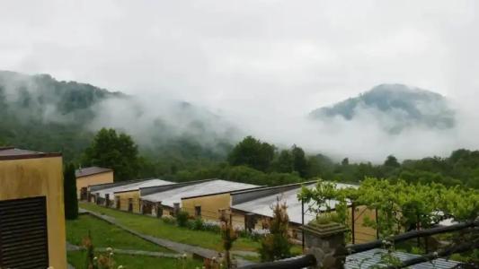 West Wood ApartHotel - 1
