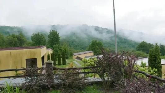 West Wood ApartHotel - 13