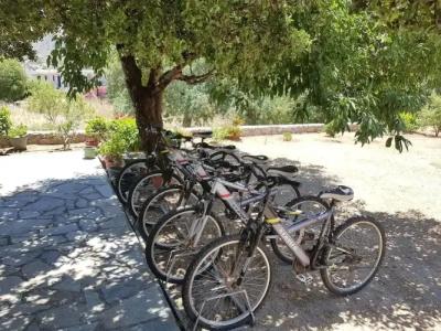 Tilos Fantasy Apartments - 22