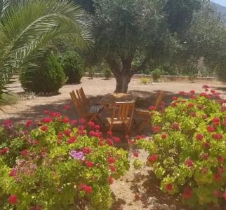 Tilos Fantasy Apartments - 11