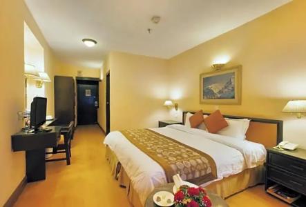 Shanker-Palatial Heritage - 68