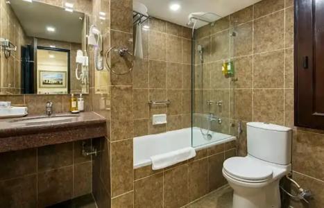 Shanker-Palatial Heritage - 92