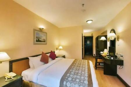 Shanker-Palatial Heritage - 36