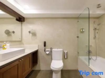 Shanker-Palatial Heritage - 120