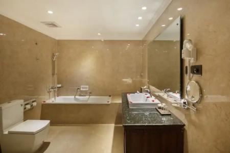 Shanker-Palatial Heritage - 150