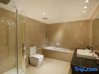 Shanker-Palatial Heritage - 143