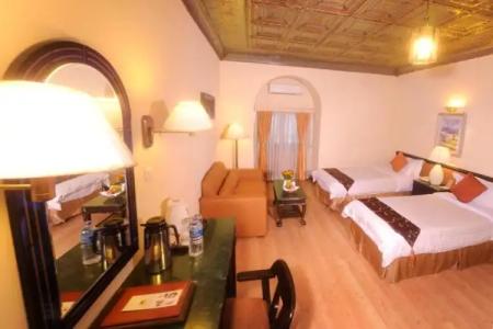 Shanker-Palatial Heritage - 52