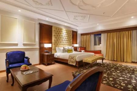 Shanker-Palatial Heritage - 135