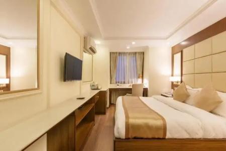 Shanker-Palatial Heritage - 80