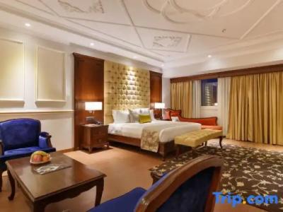 Shanker-Palatial Heritage - 141