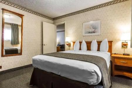 Quality Inn & Suites Silicon Valley - 66