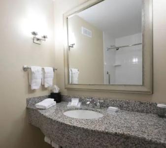 Hilton Garden Inn Lakeland - 7