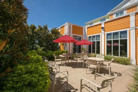 Hilton Garden Inn Lakeland - 21