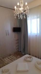 Villa Olga Lounge - 61