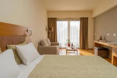 Anemolia Mountain Resort - 73