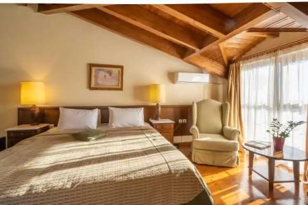 Anemolia Mountain Resort - 91