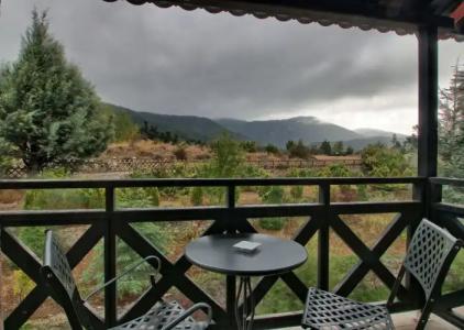 Boutique Skamnos Arachova - 105